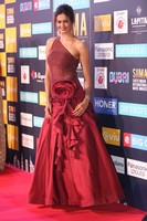 Shubra Aiyappa at SIIMA Awards 2018 Red Carpet